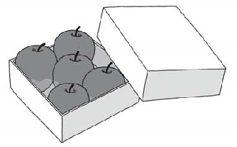 Illustration from vocabulary question 27